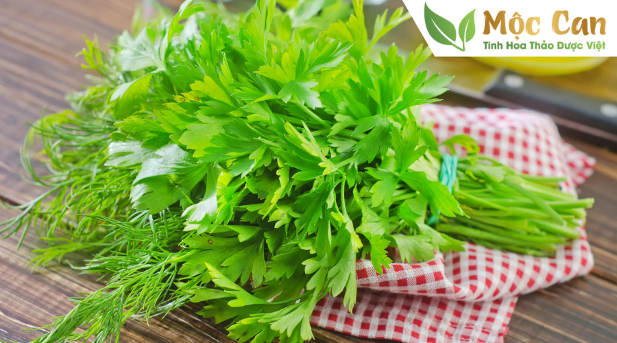 Các thảo mộc giúp hạ huyết áp hiệu quả 2 Các thảo mộc giúp hạ huyết áp hiệu quả 2